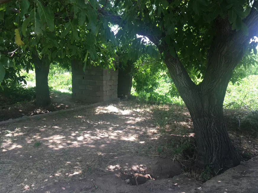 فروش باغ میوه