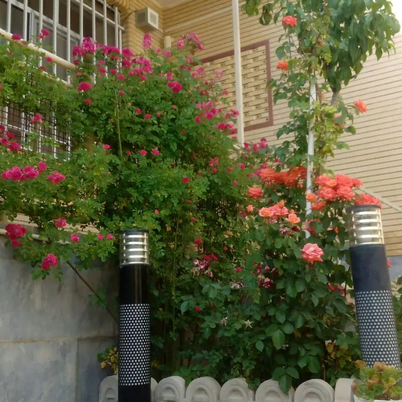 منزل ویلایی اشکفتک
