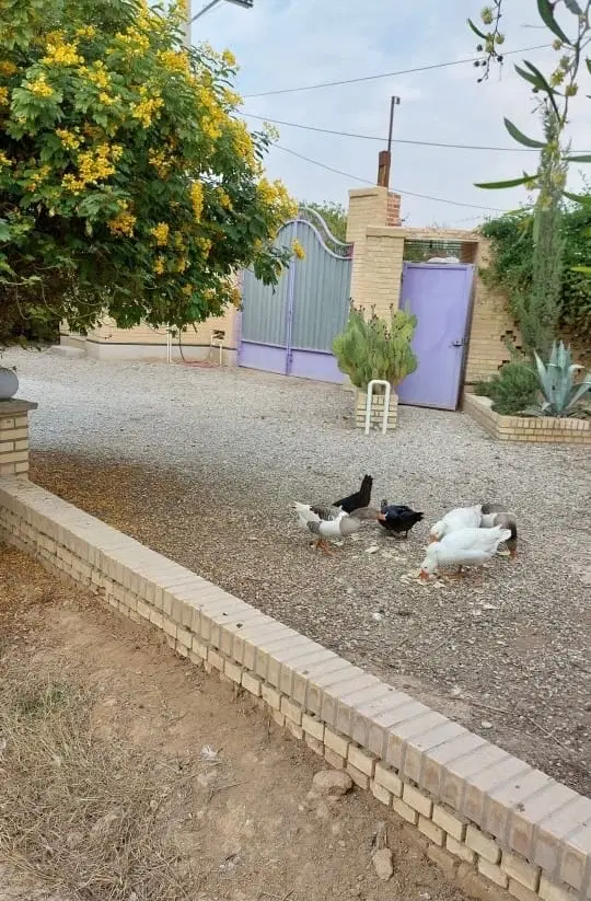 فروش ویلا باغ