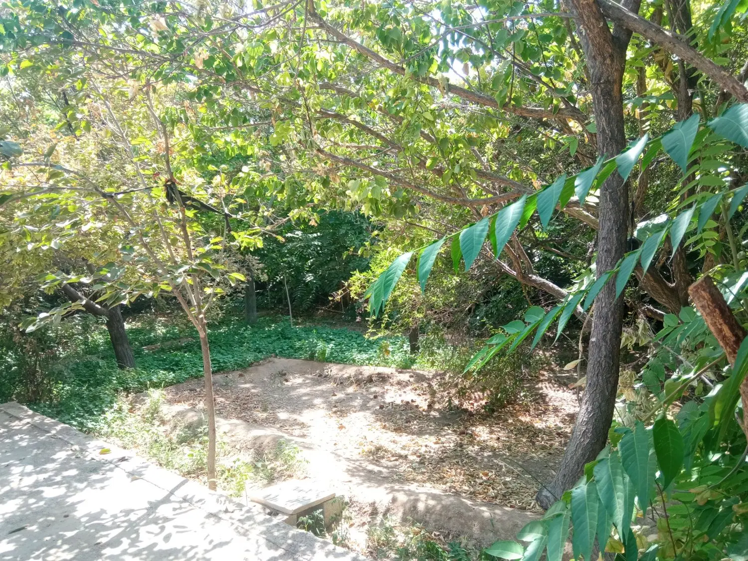 باغ۷۱۰متری بغداد آباد مهریز