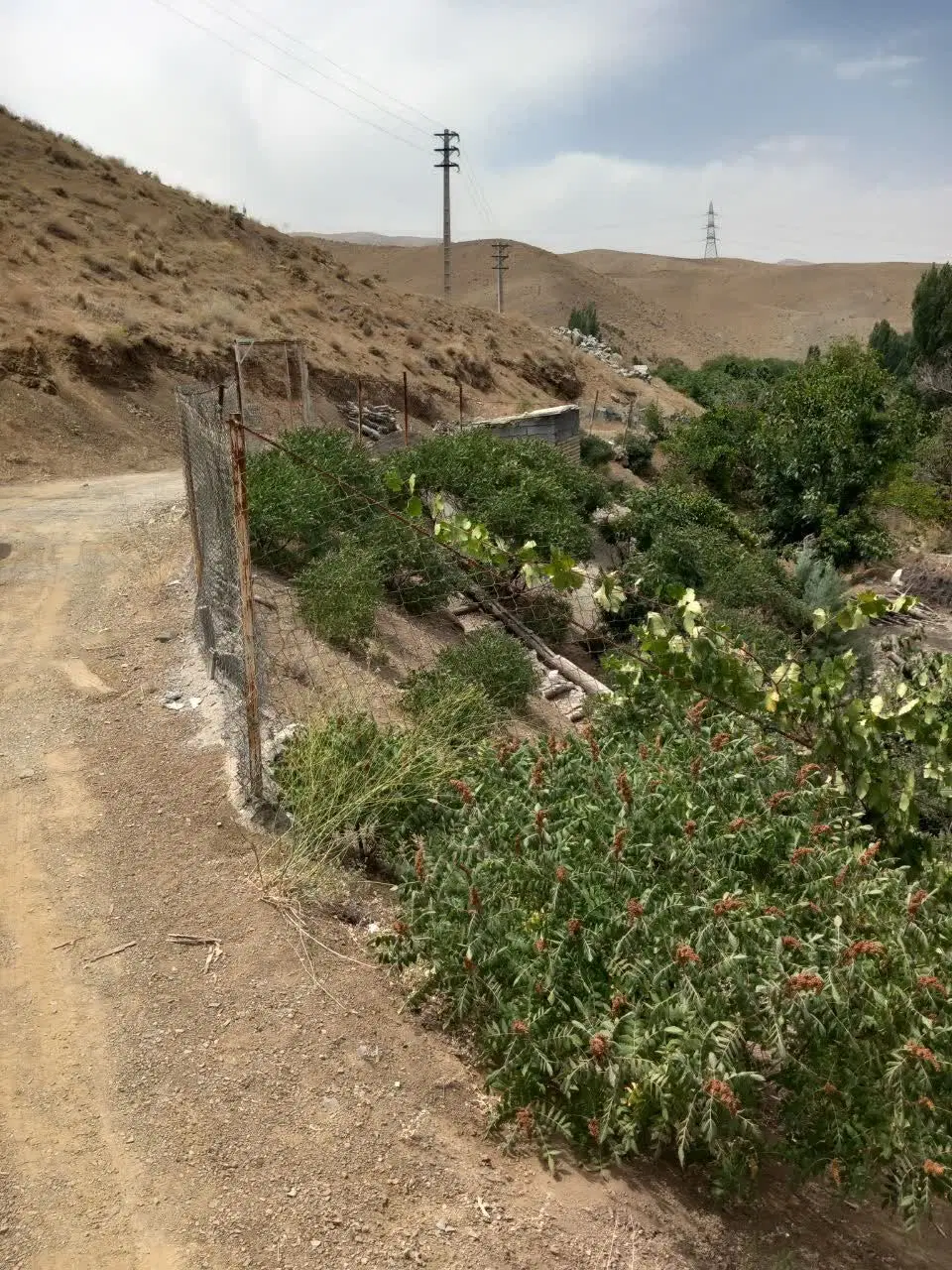 باغچه کردان تهاتر با کاشان
