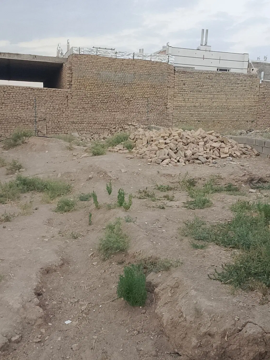 زمین