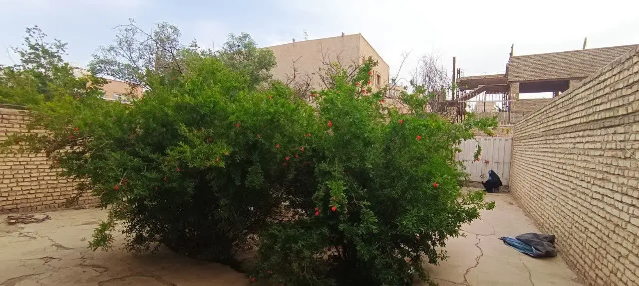 زمین کلنگی