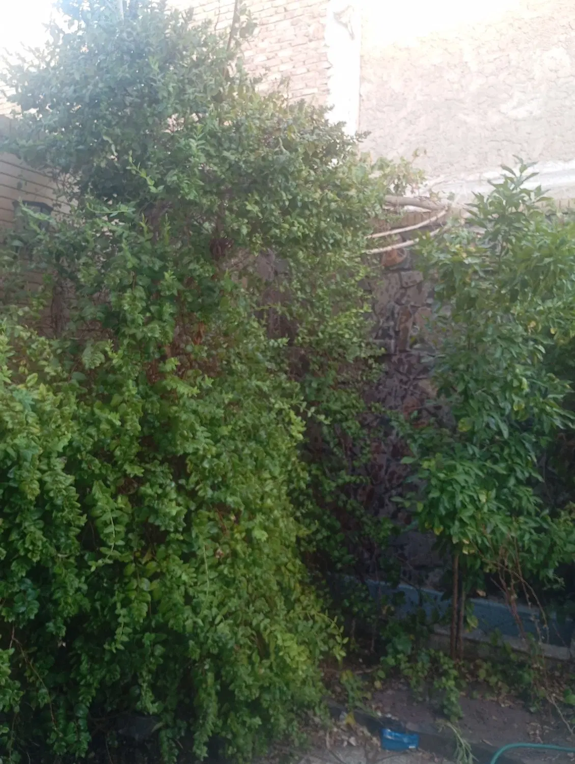 ویلایی دوبلکس شیک