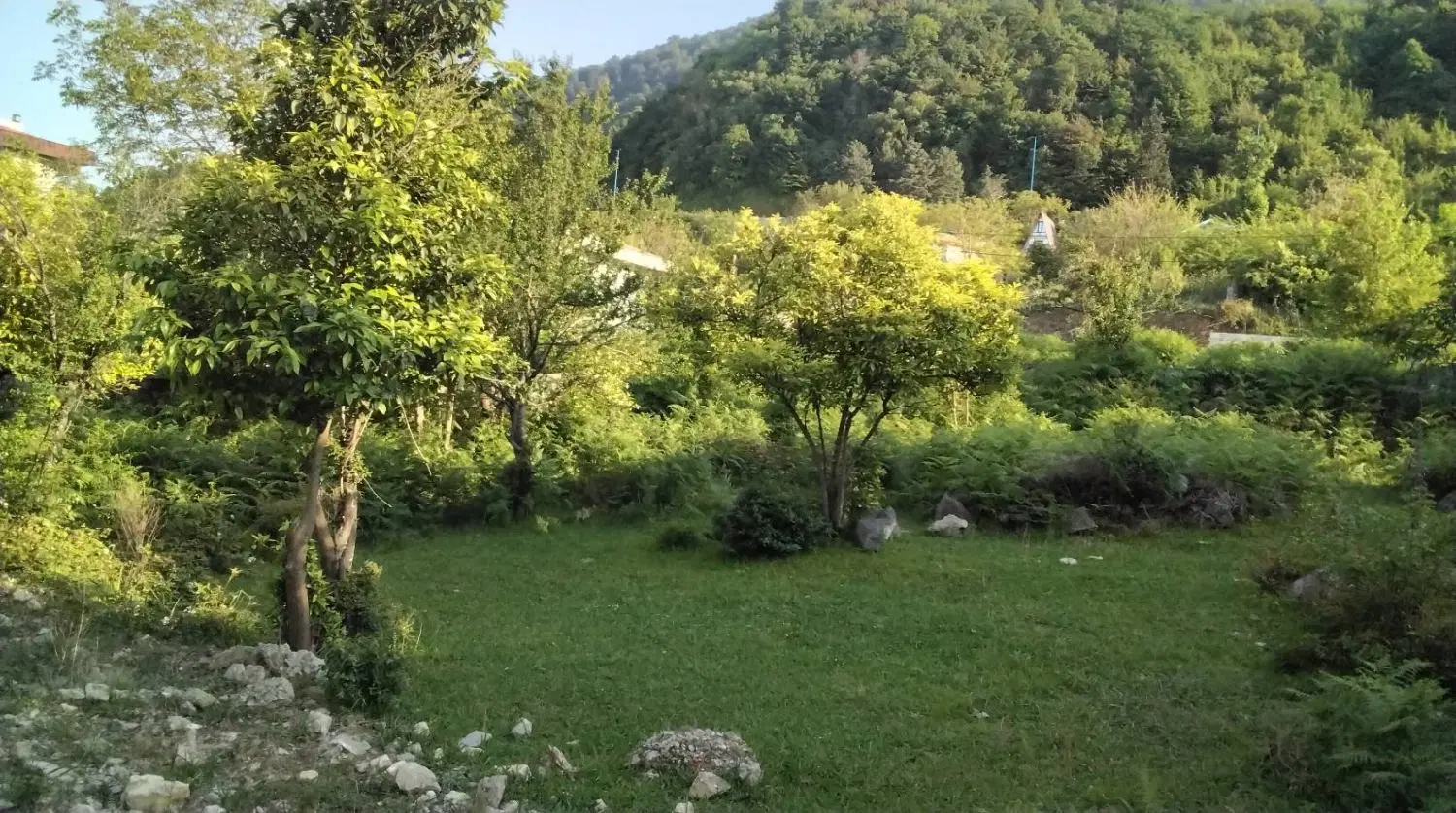 زمین مسکونی