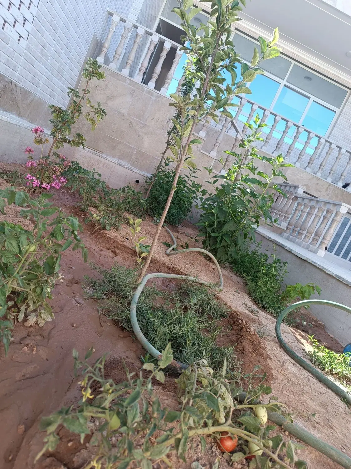خانه _ویلایی _نوساز