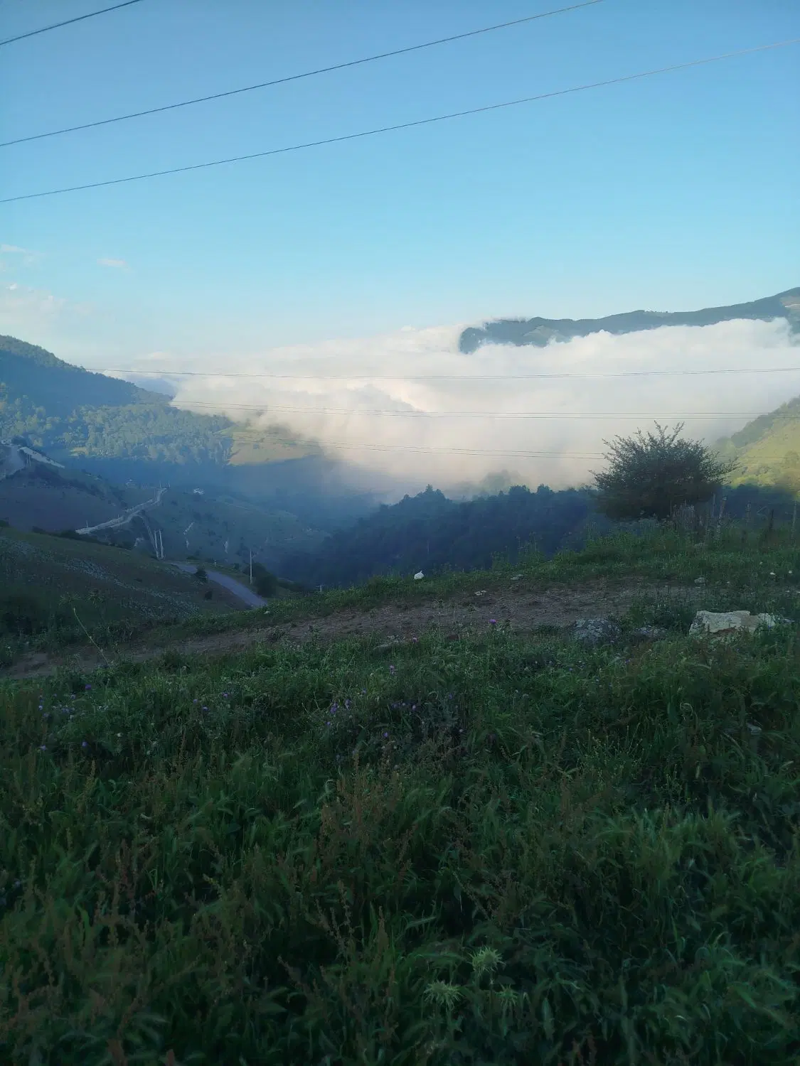 فروش زمین