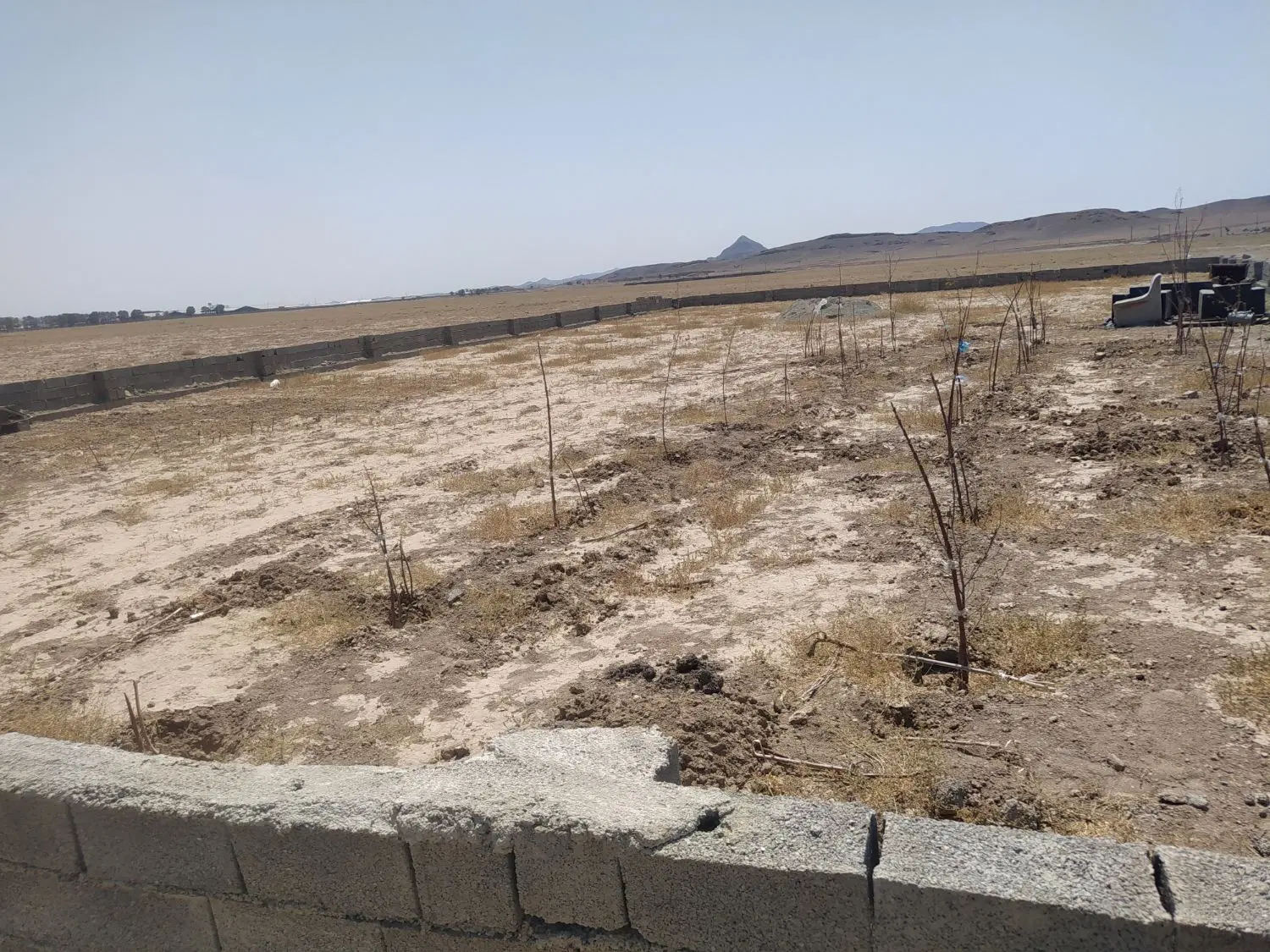 زمین سندداربا کاربری زراعی