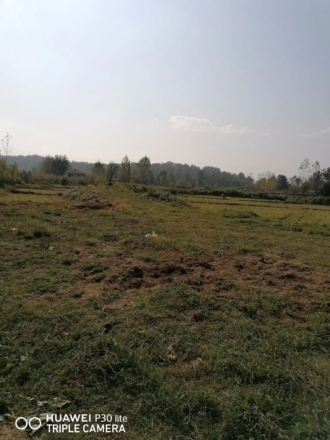 زمین در ساقالکسار