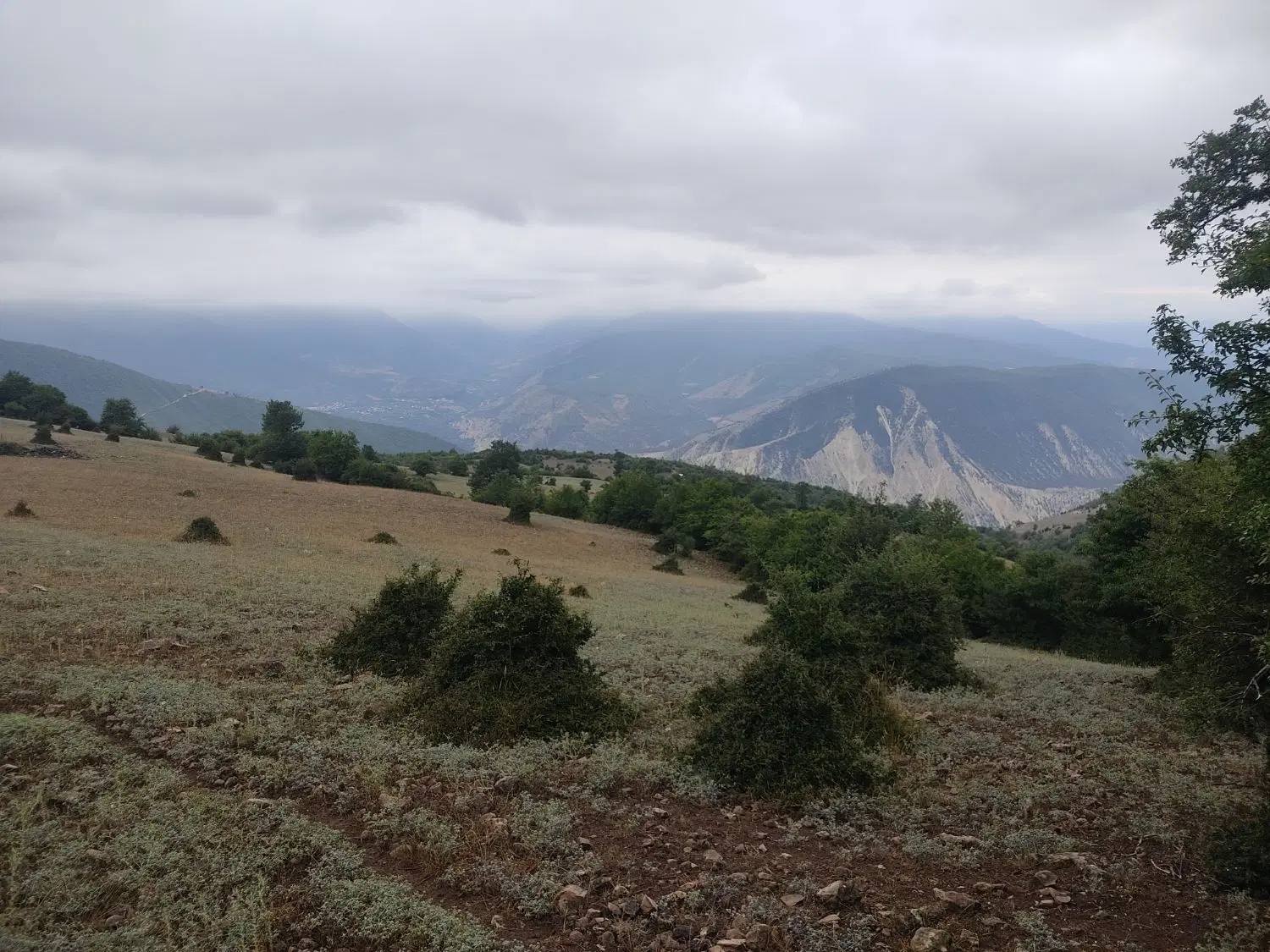 فروش زمیندار مازندران،  کجور، لشکنار