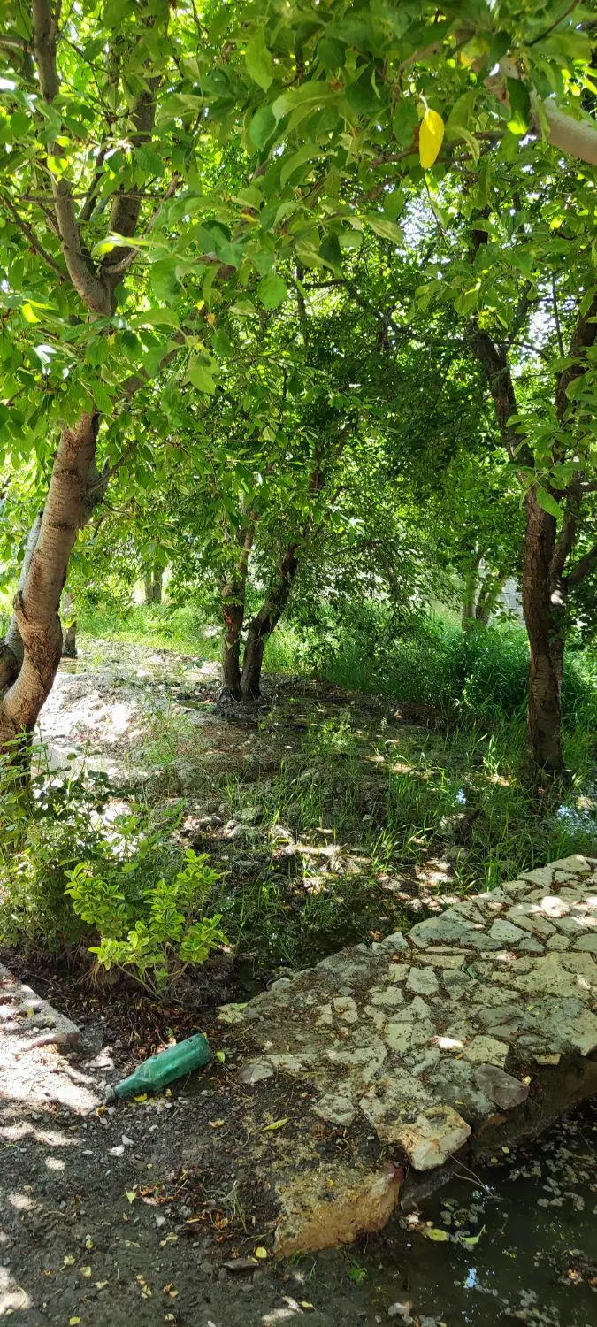 باغ اول جاده چشمه گیلاس