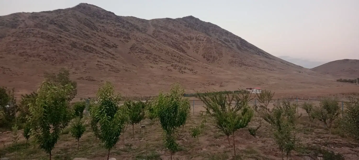 زمین ۸۰۰ متری پلاک ۲۰ حسین اباد