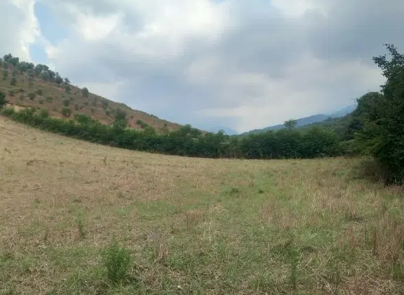 زمین باغی مابین توسکستان و قرن اباد