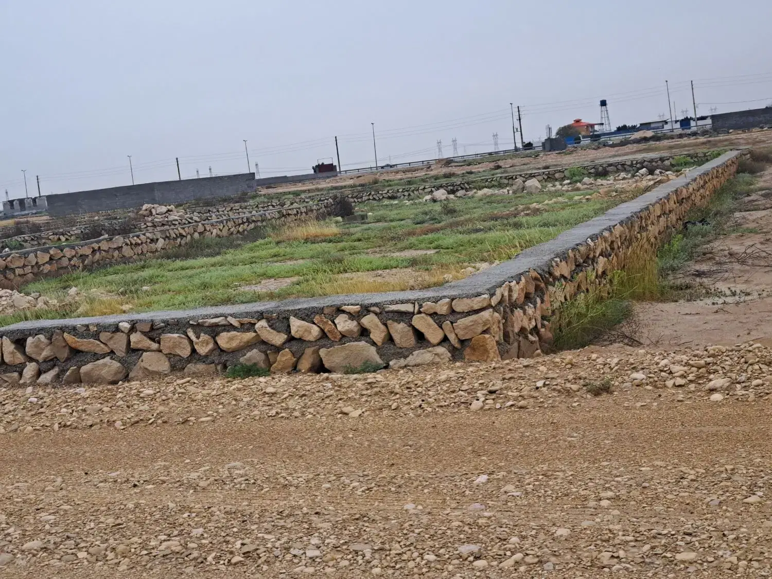 زمین خیش اشکن،نزدیک اصلی،سندتک برگ