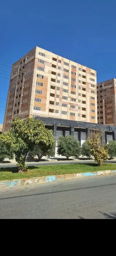 سروقامتان بر بلوار اندیشه