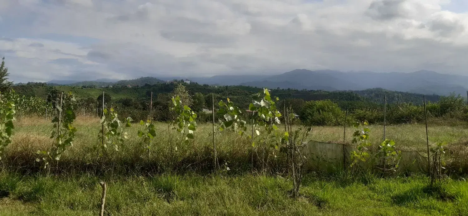 کوچه ۶متری بن بست