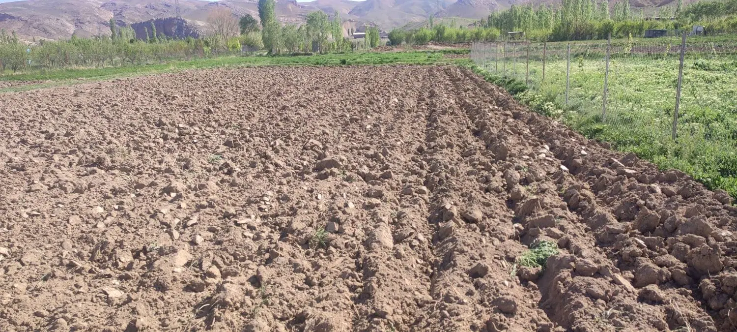 یک قطعه زمین کشاورزی با متراژ بالا