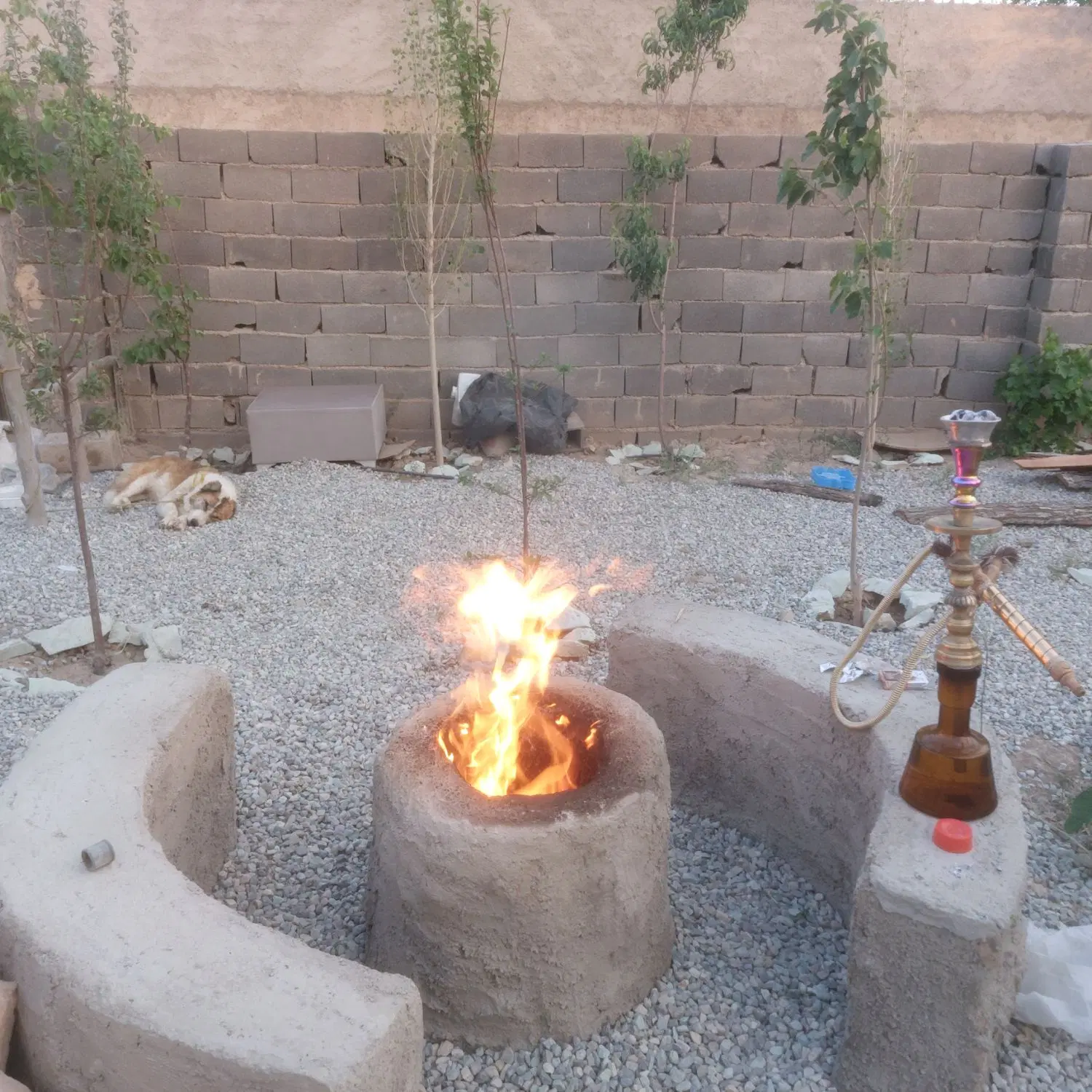 باغچه پاکدشت فیلستان