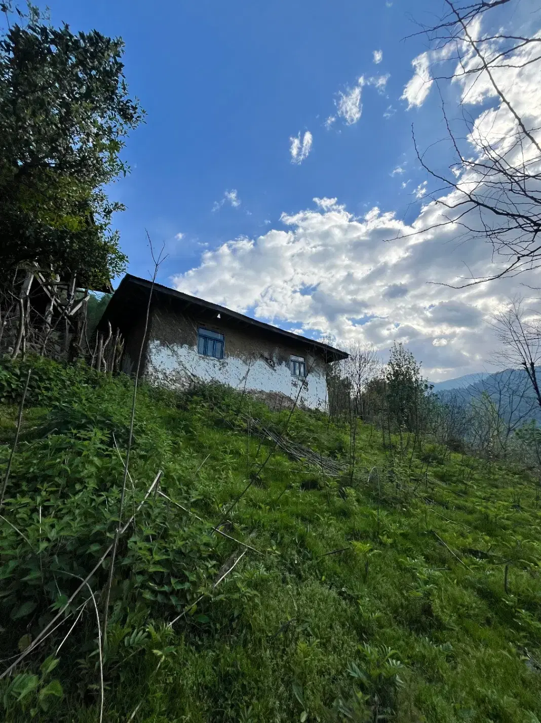 زمین مسکونی  در دل جنگل