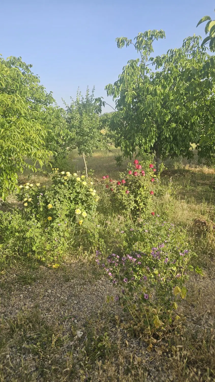 فروش خونه باغ ۲۰۰۰متری