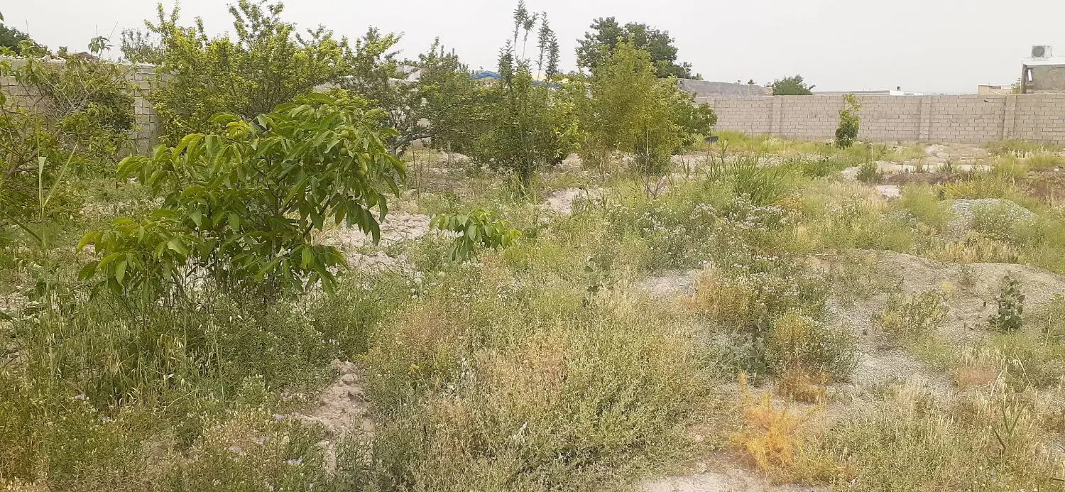 فروش باغچه ۱۰۰۰متری