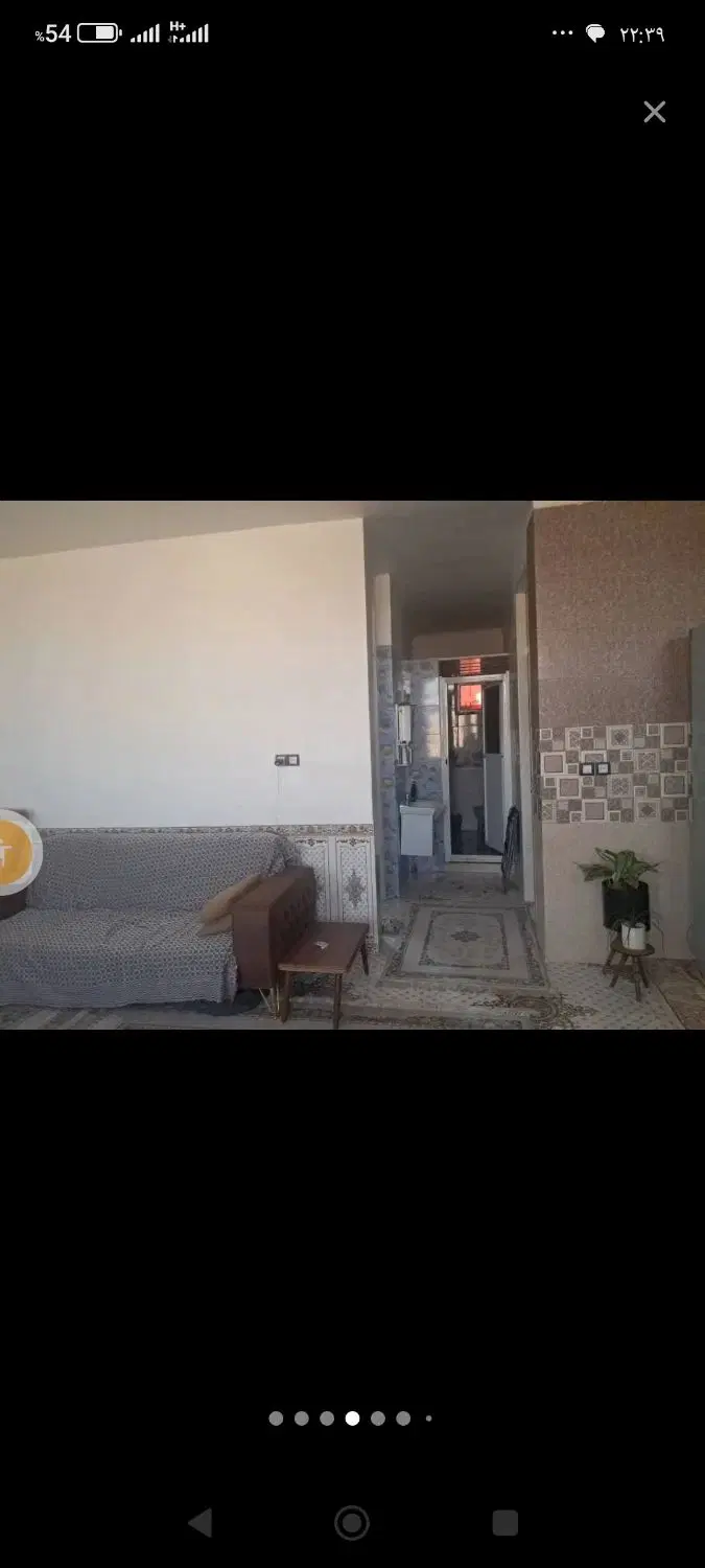 هم‌خونه خانم