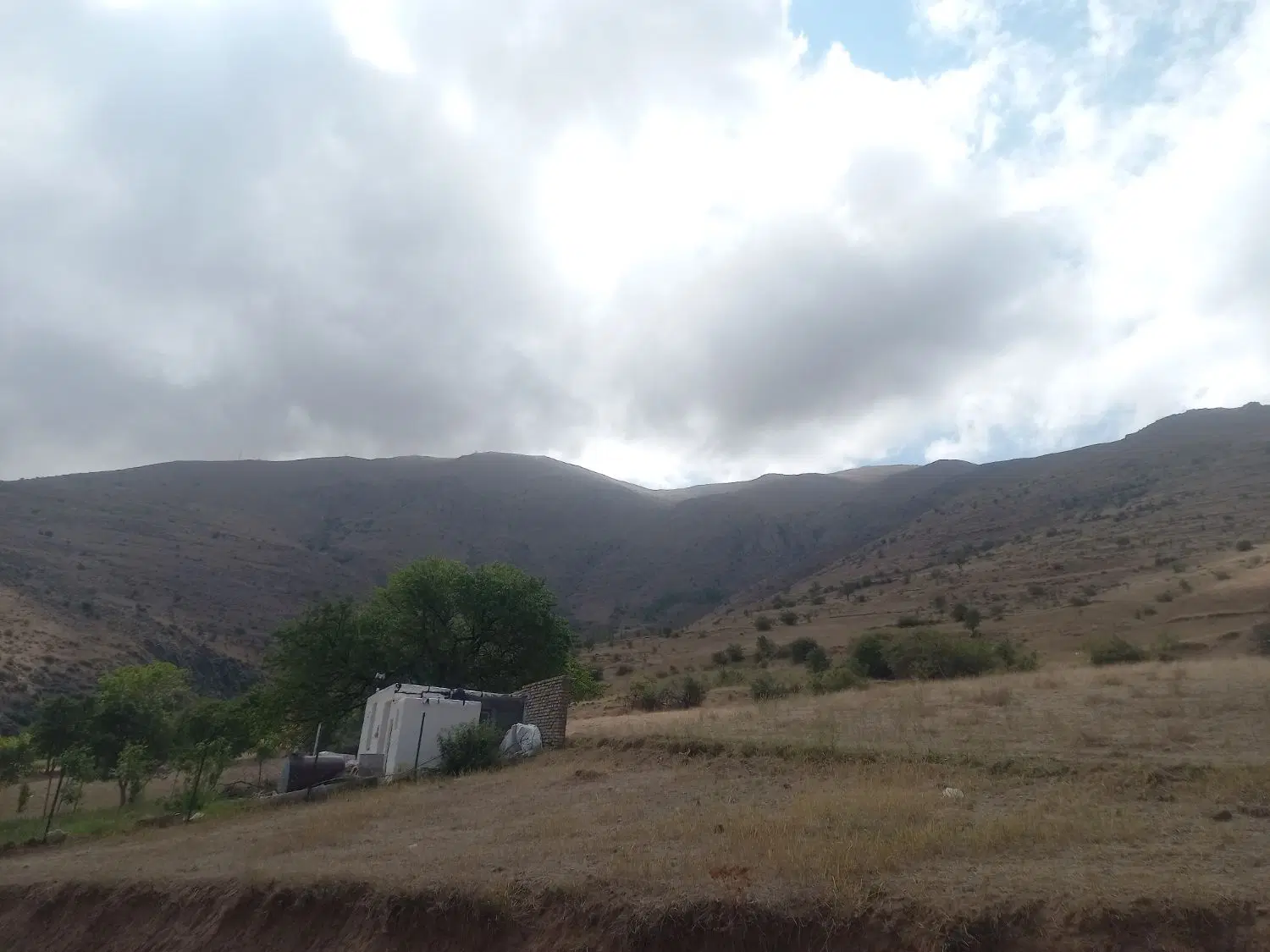 زمین کشاورزی وباغی