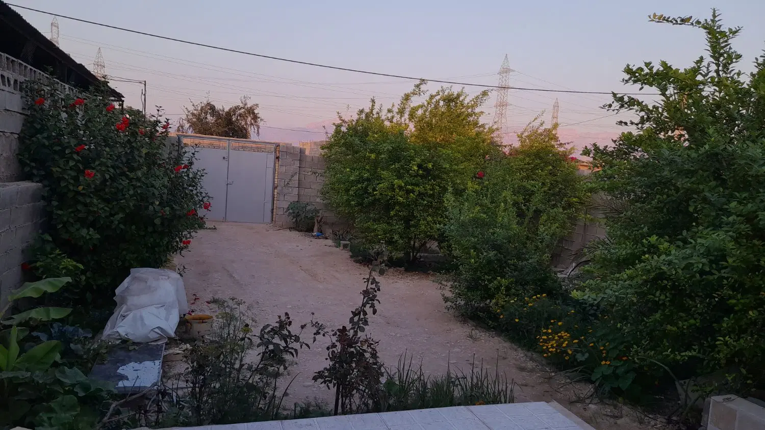 باغ شهری