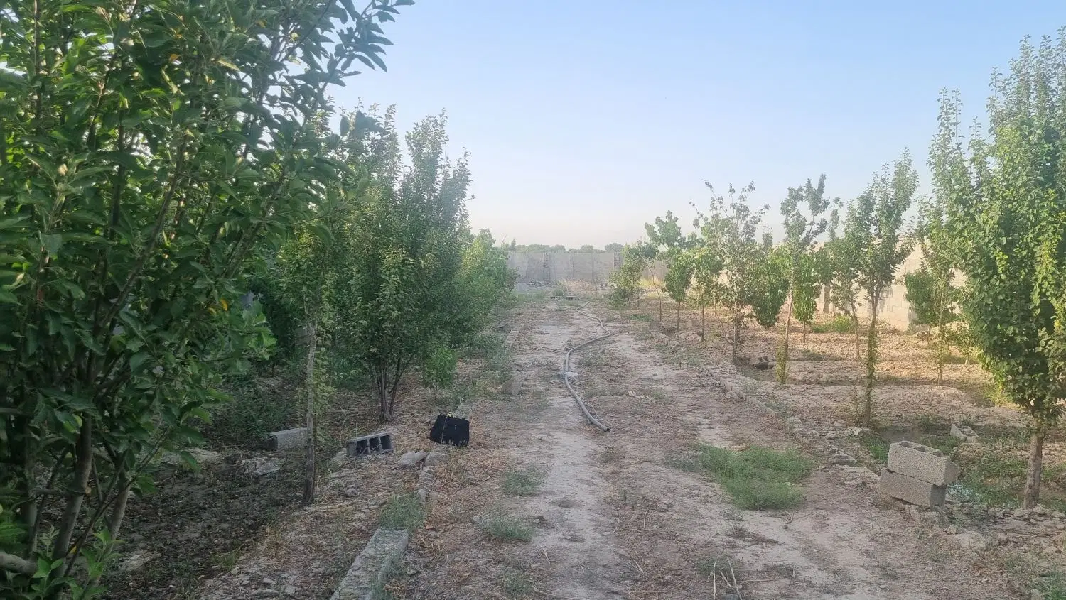 باغ 900 متری در خوشنام _سند عرصه و اعیان _