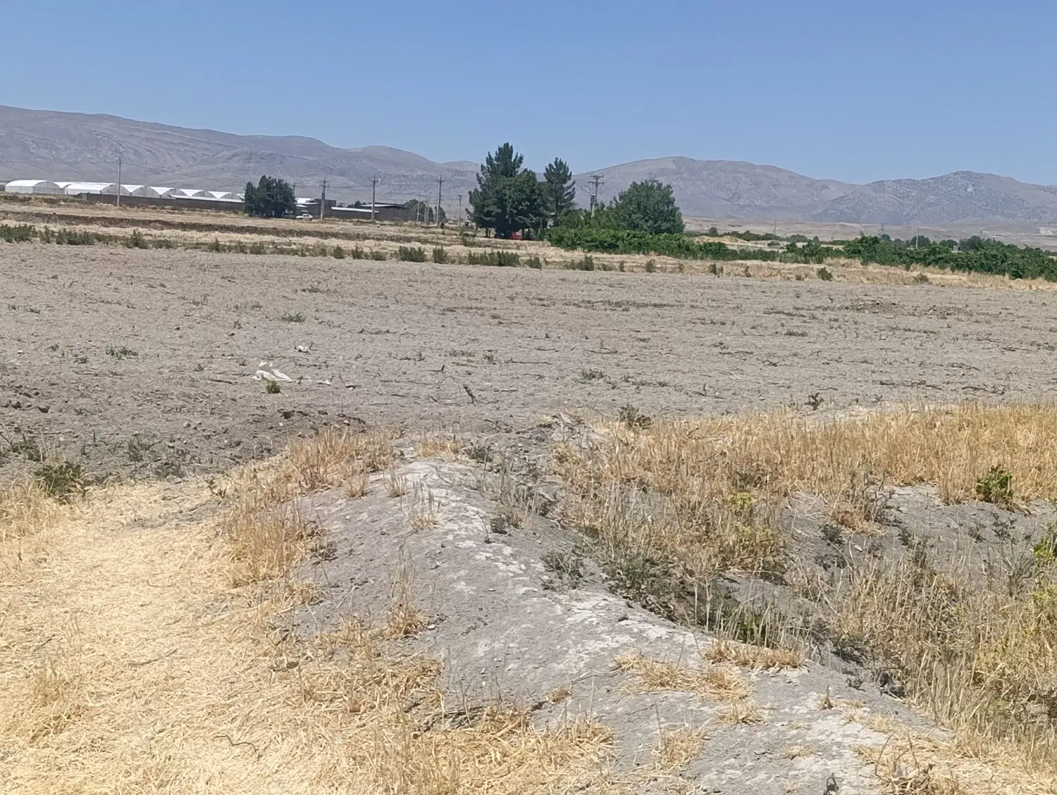 زمین  کشاورزی اجاره شش الی هفت هکتاربیضا