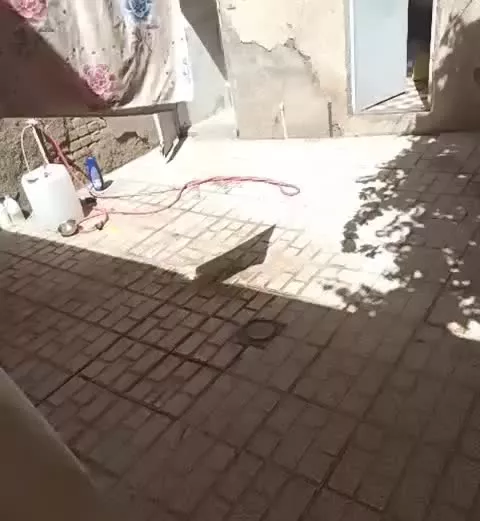 همخونه میخام وسایل همه چی هست