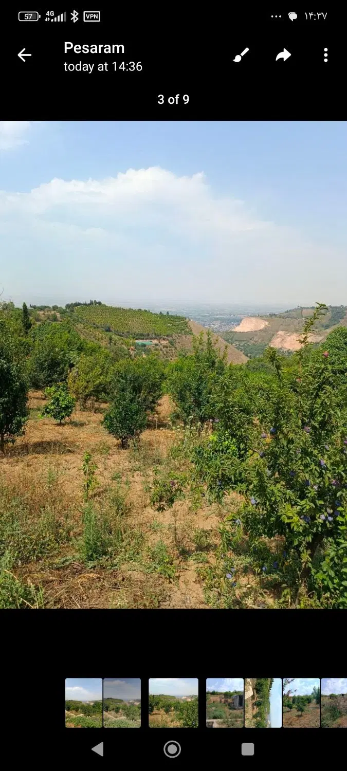 ۸۰۰ متر زمین باغی کوه