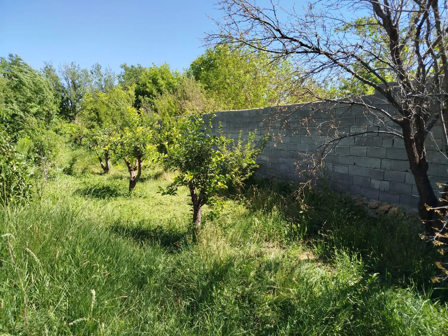 قطعه زمین ویلایی