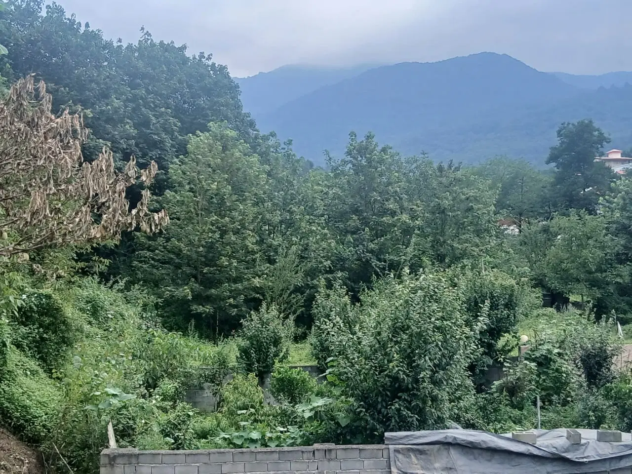 فروش زمین ور منطقه خوش آب و هوای سوادکوه مازندران