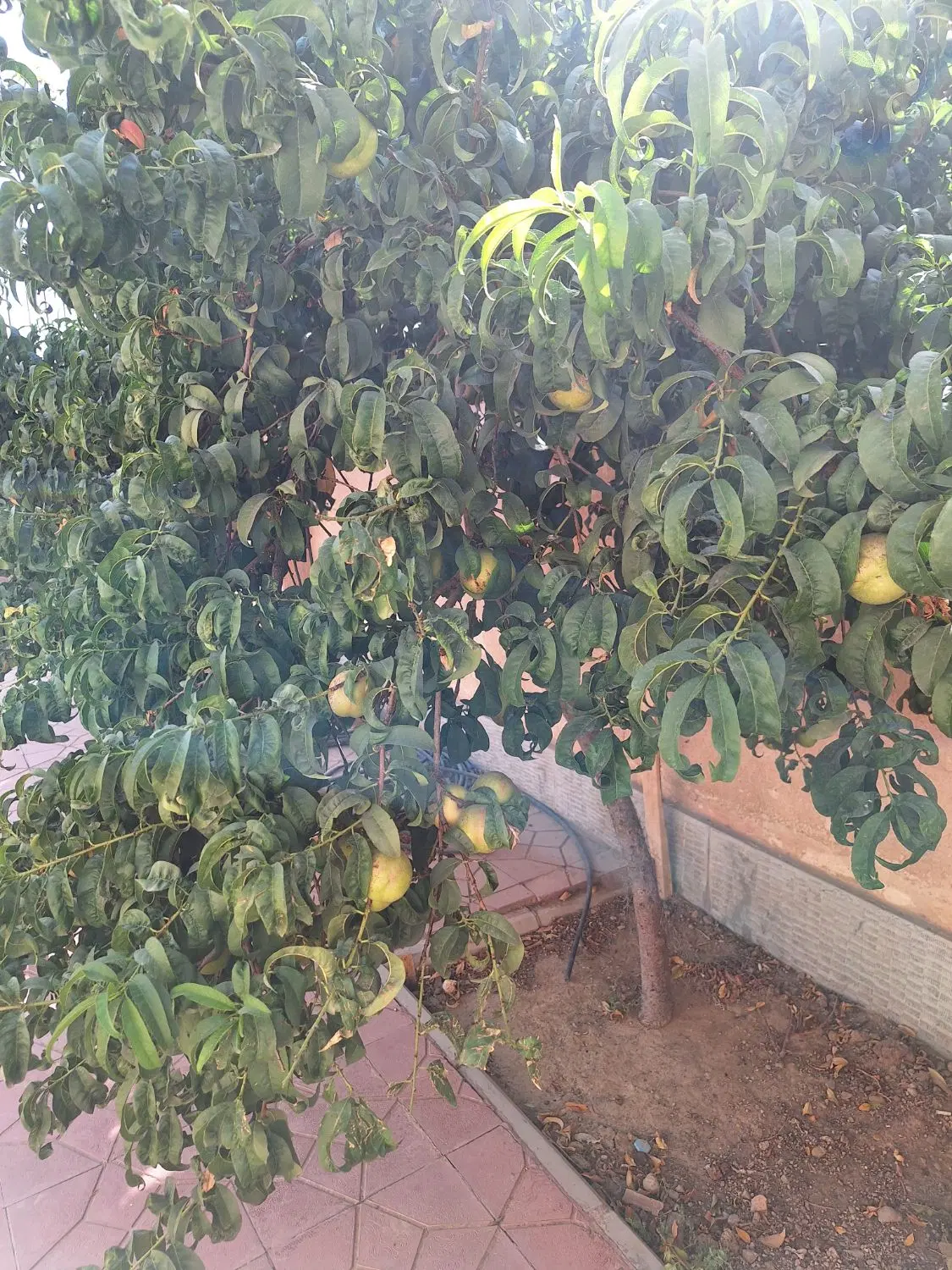 خانه ویلایی ( دوبلکس )