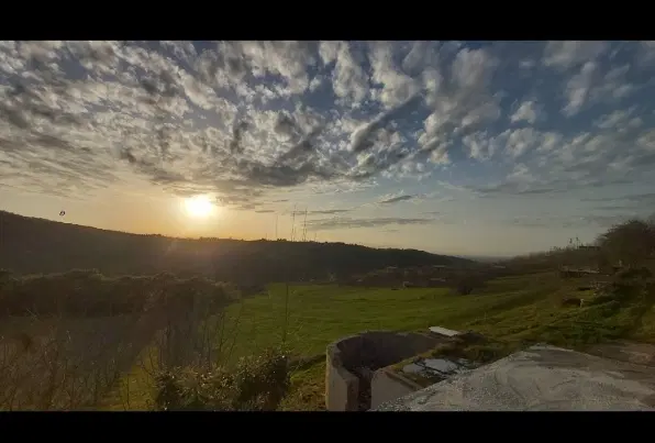 زمین باغی
