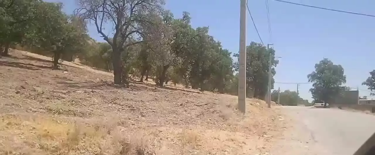 فروش زمین در روستای بن زرد (دنا)