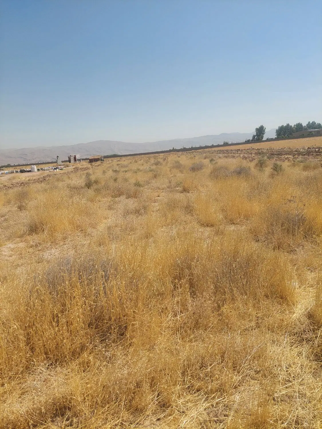 زمین ۱۲۰۰ متری قلعه دودمان