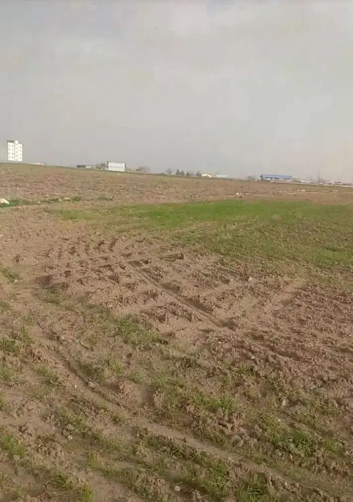 زمین شبکه بهداشت