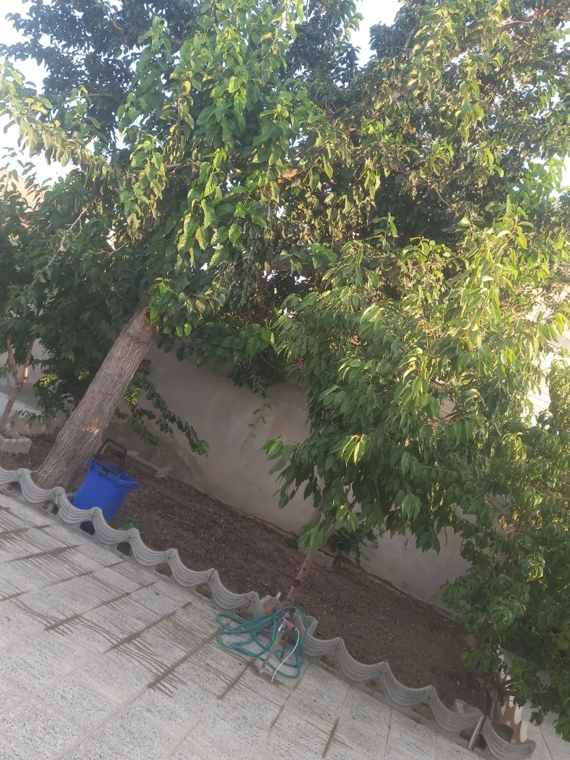 فروش خانه ویلایی