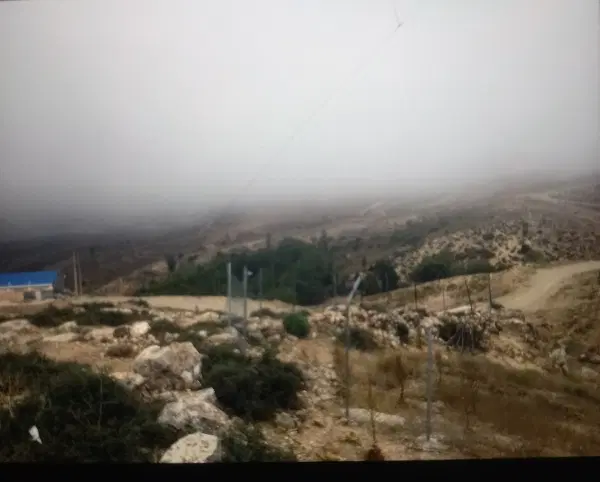 ۱۰۰۰متر زمین کیاسر چهاردانگه