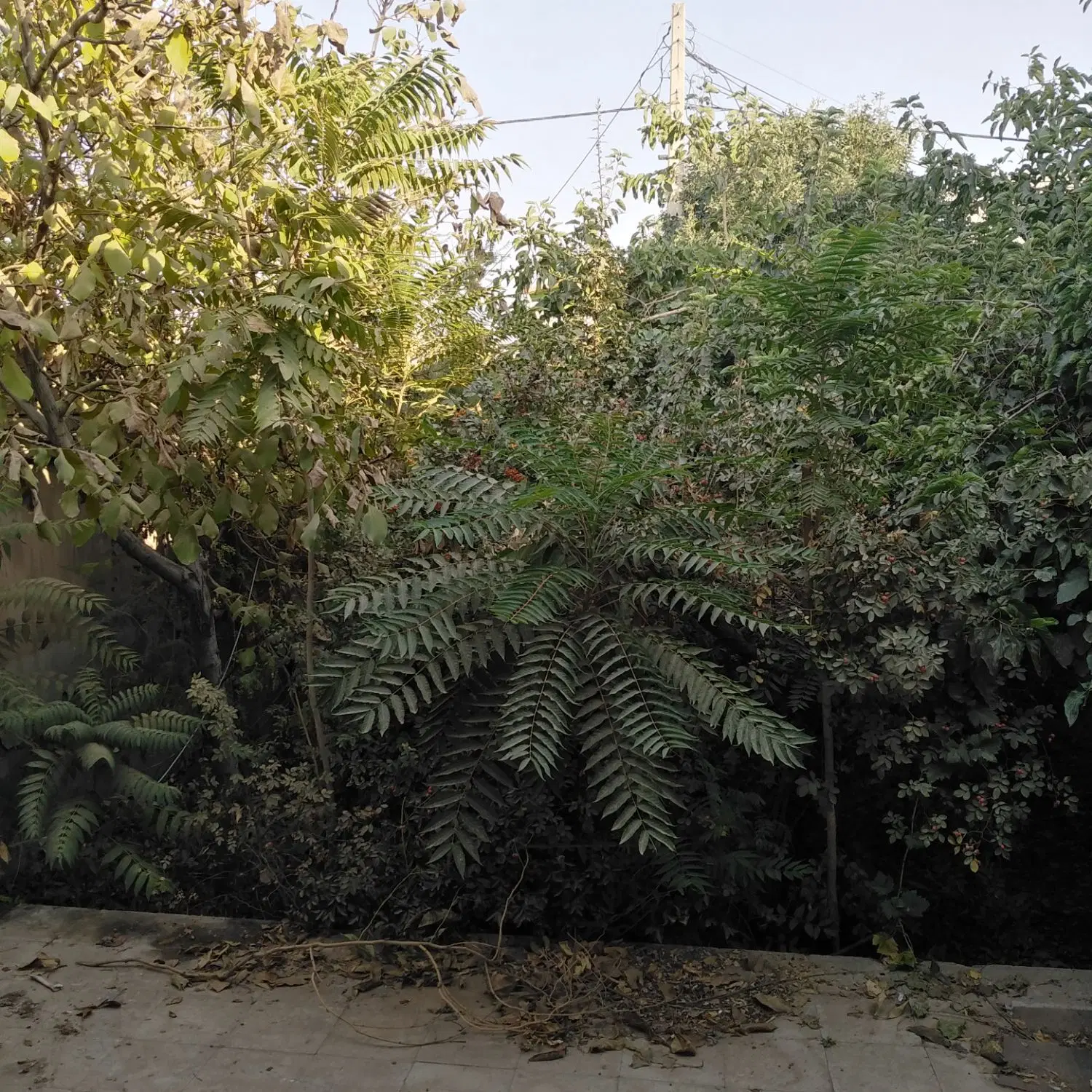 خانه ویلای 266متری