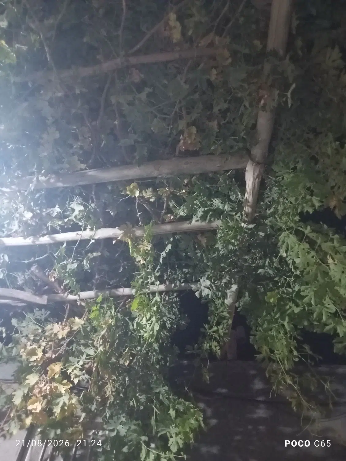 خونه باغ در بخش خلجستان