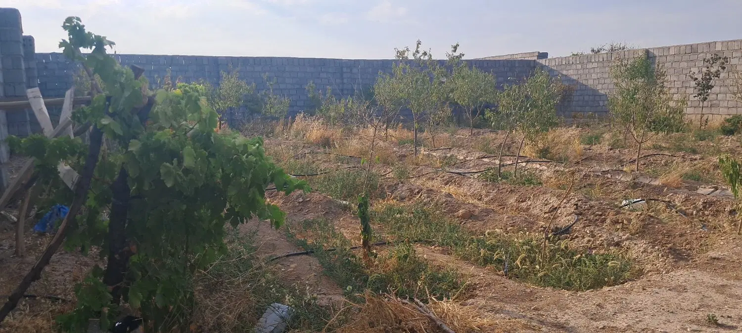 فروش باغ