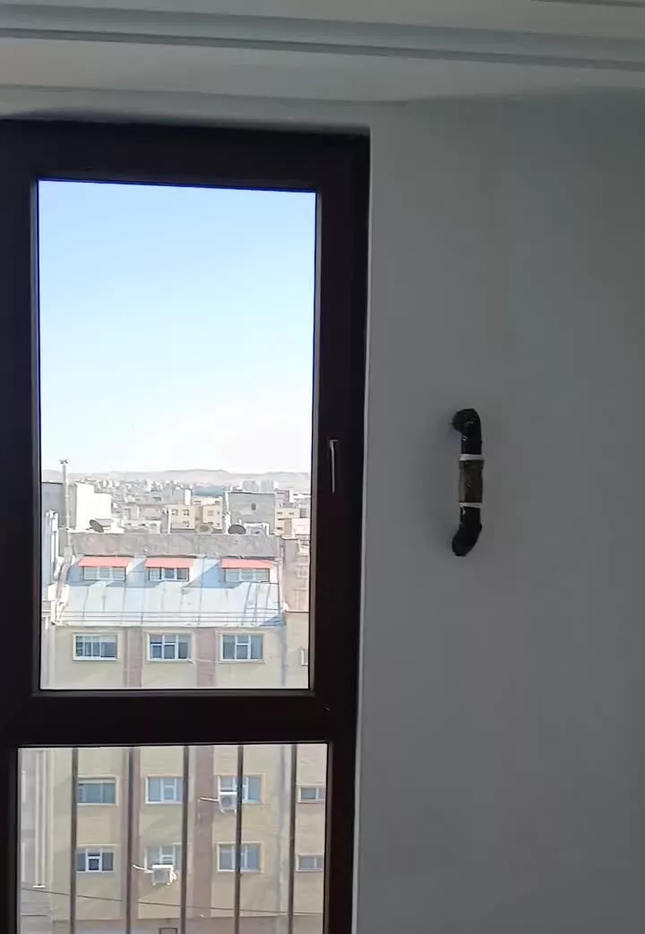 رسالت کوی برنجیان کوچه ۱۲ متری