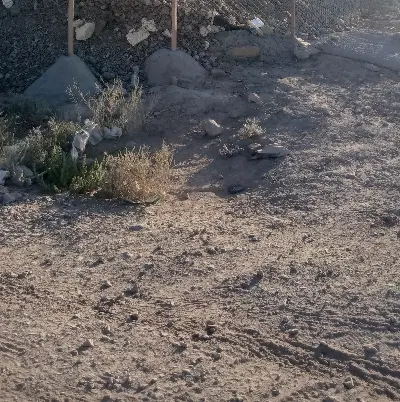 اگهی‌منزل