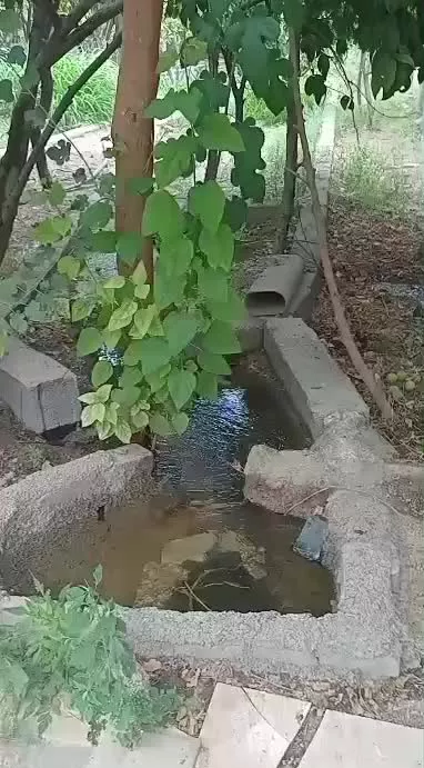 باغ ۷۵۰ متری با آب و برق رباط کریم