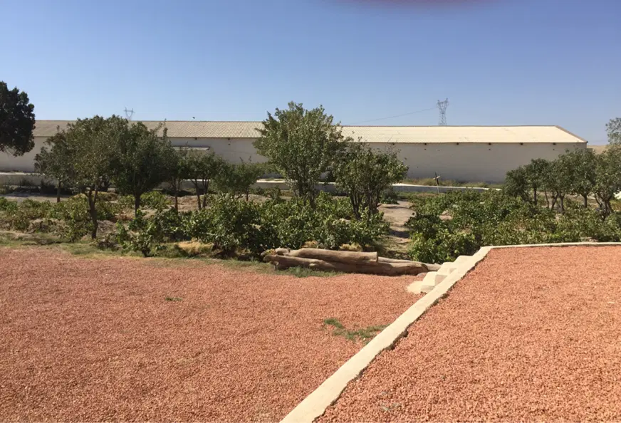 سوله سالن کارگاه بزرگ کارخانه