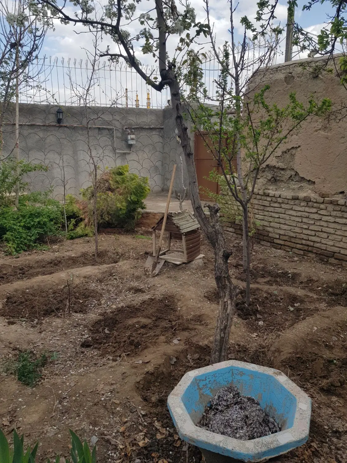 خانه باغ در رضویه