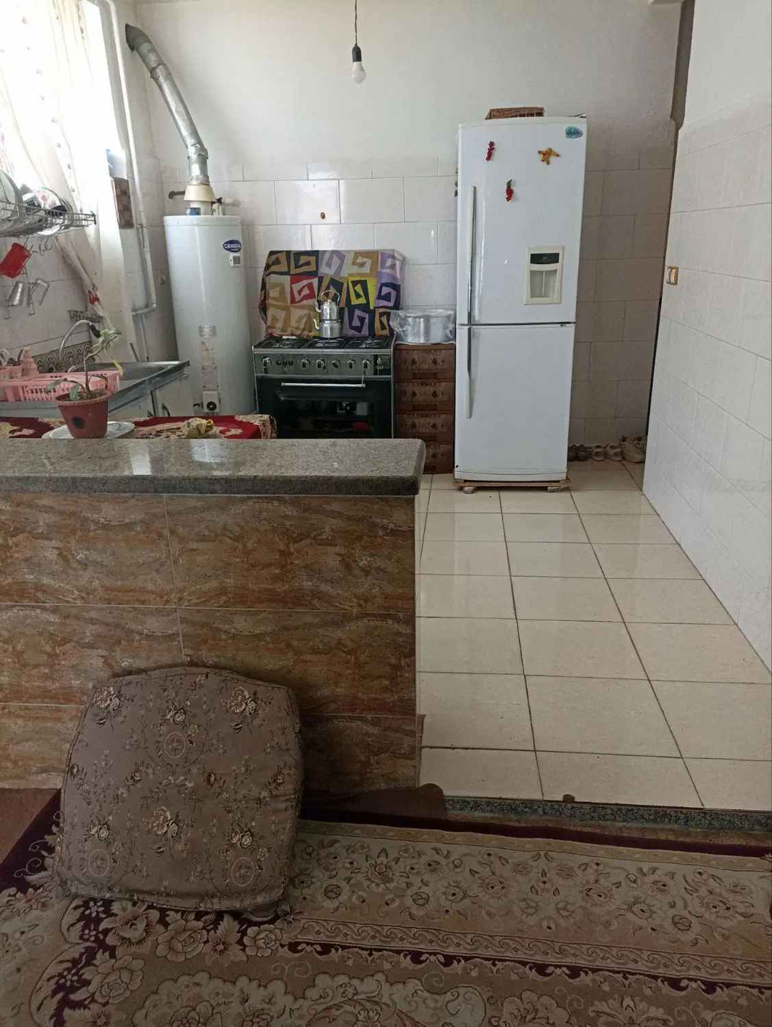ویلایی  نوکان